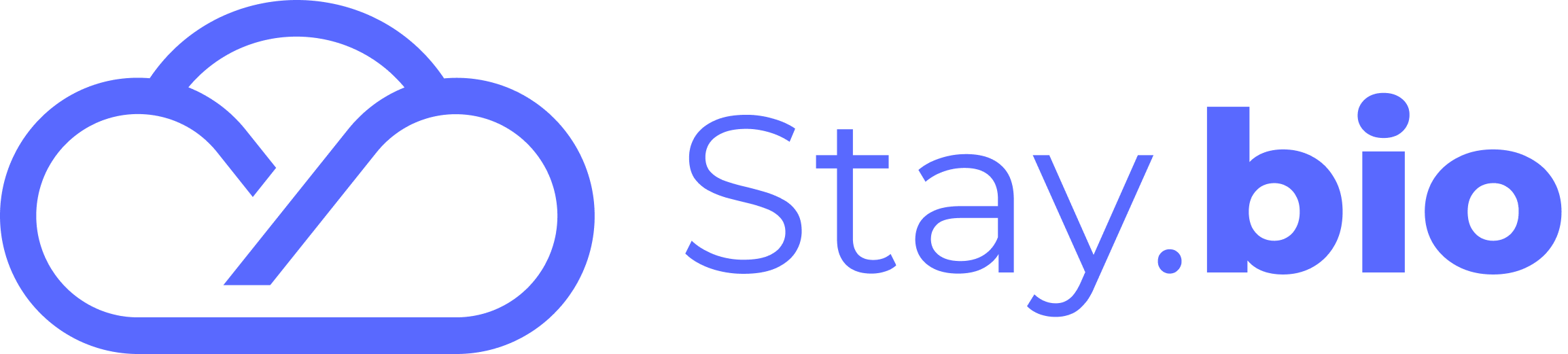 Website Logo